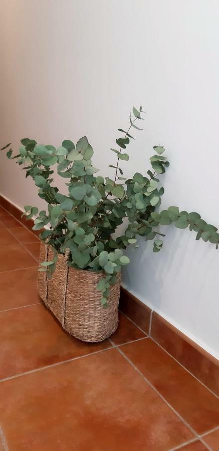 Hostal Sa Posada Set Cales Ciutadella  Exterior foto
